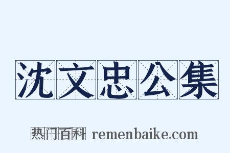 沈文忠公集是什么意思的图片